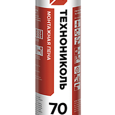ТехноНИКОЛЬ Пена монтажная проф. 70 PROFESSIONAL всесезонная 12*1020гр